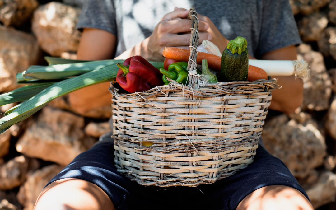 verduras de Ibiza producto local km0 proveedores restaurantes
