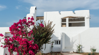 Can Domo restaurante Ibiza huerta propia y olivos chefs Javi Sanz y Juan Sahuquillo